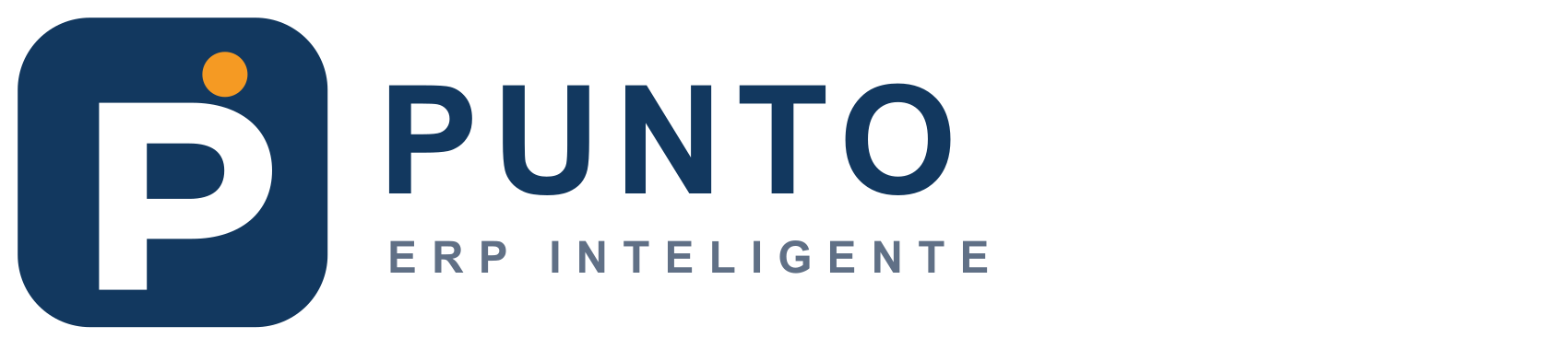 PUNTO ERP Inteligente